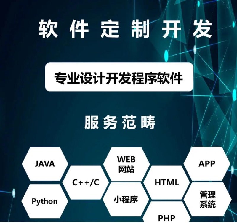 软件定制开发:企业成长的隐形翅膀